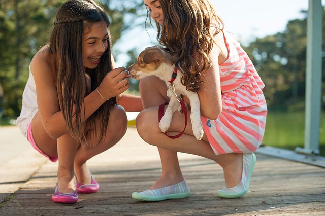 family with children and a pet dog enjoying quality time together outdoors in Canada
